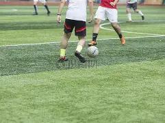 中国女排奔,赴世界杯征,云顶娱乐,云顶娱乐官网,云顶娱乐官网在线娱乐平台